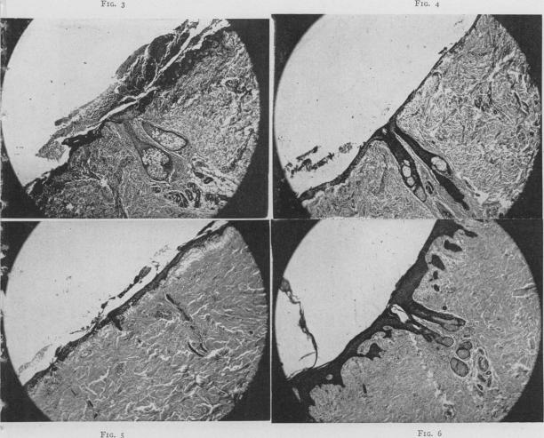 Fig. 3., Fig. 4., Fig. 5., Fig. 6.