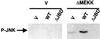 Fig 5.