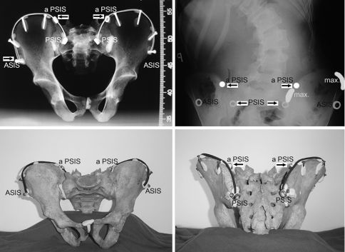 Fig. 6