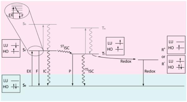 Fig. 2