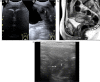Fig. 7