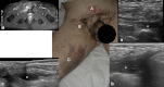 Fig. 6