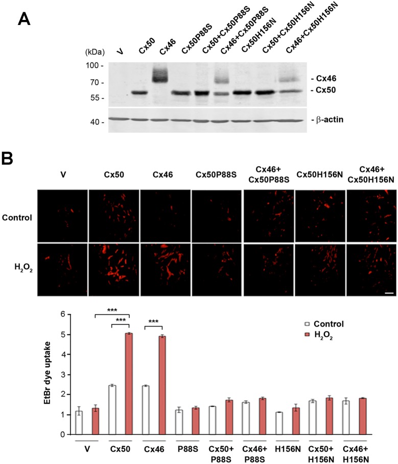 Fig. 4.