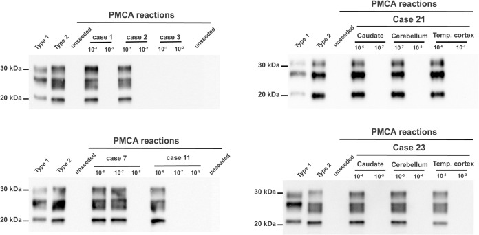 FIG 6