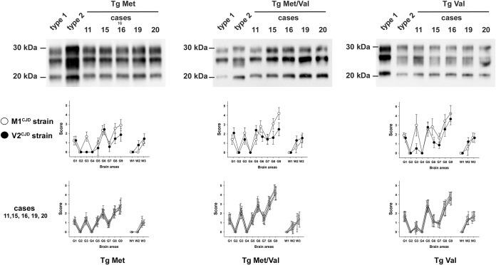 FIG 3