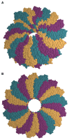 Fig. 1.