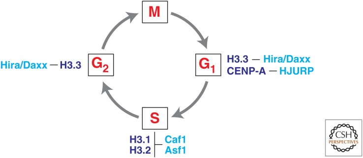 Figure 3.