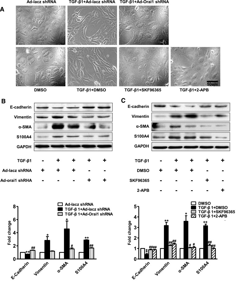 Figure 12.