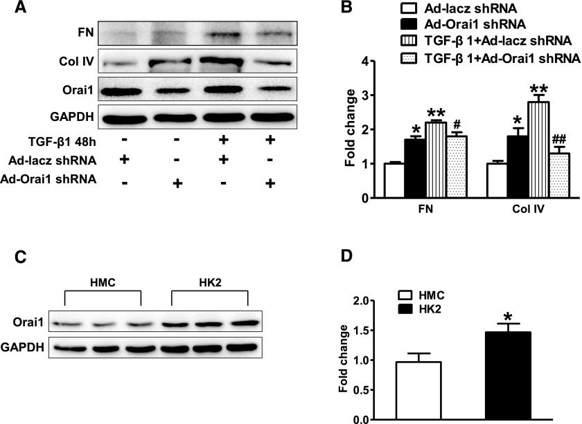 Figure 10.