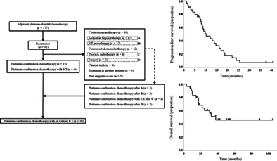 graphic file with name TCA-14-2069-g002.jpg