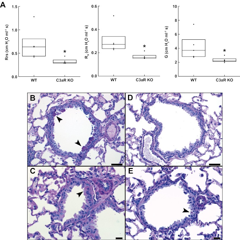 FIG 3 