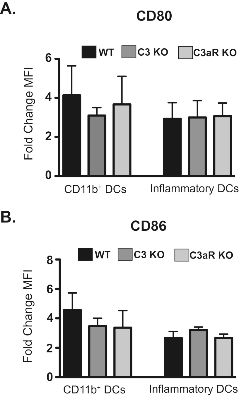 FIG 6 