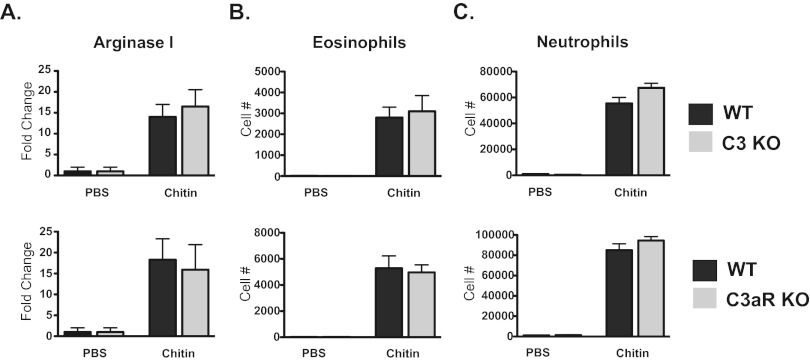 FIG 4 