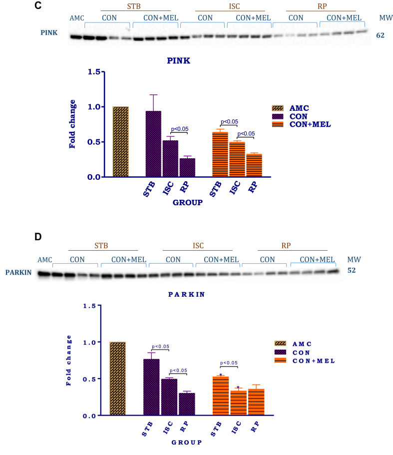 Fig. 4