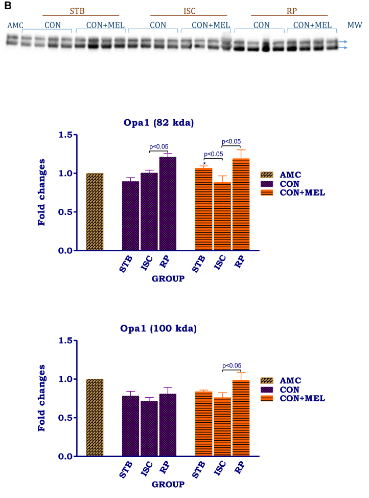 Fig. 7