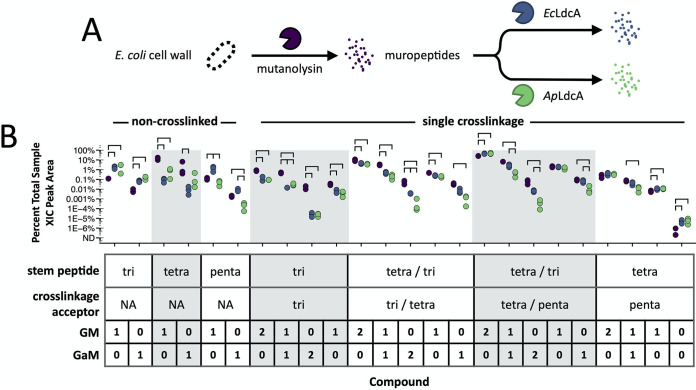 FIG 3