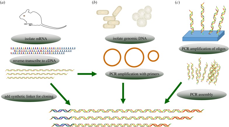 Figure 1.