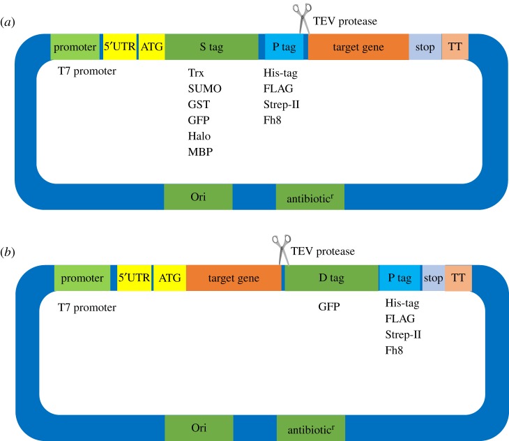 Figure 3.