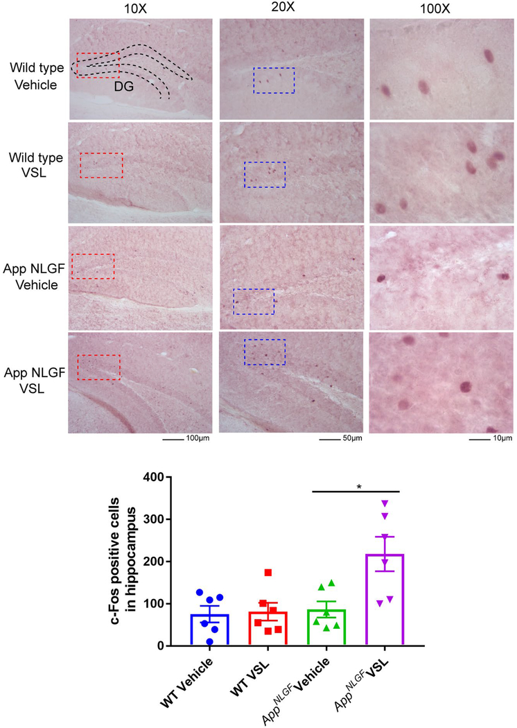 Fig. 7.