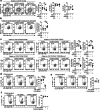 Extended Data Fig. 7