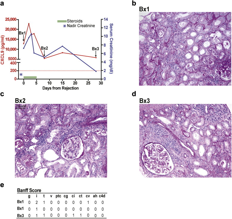 Figure 3