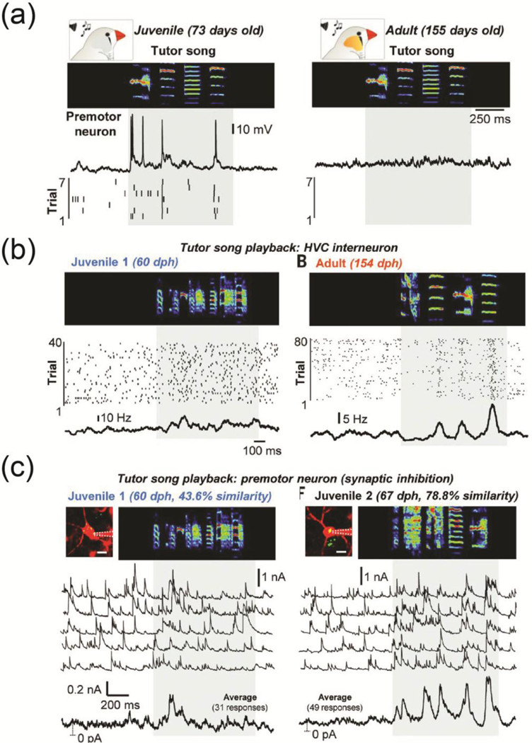 Figure 2: