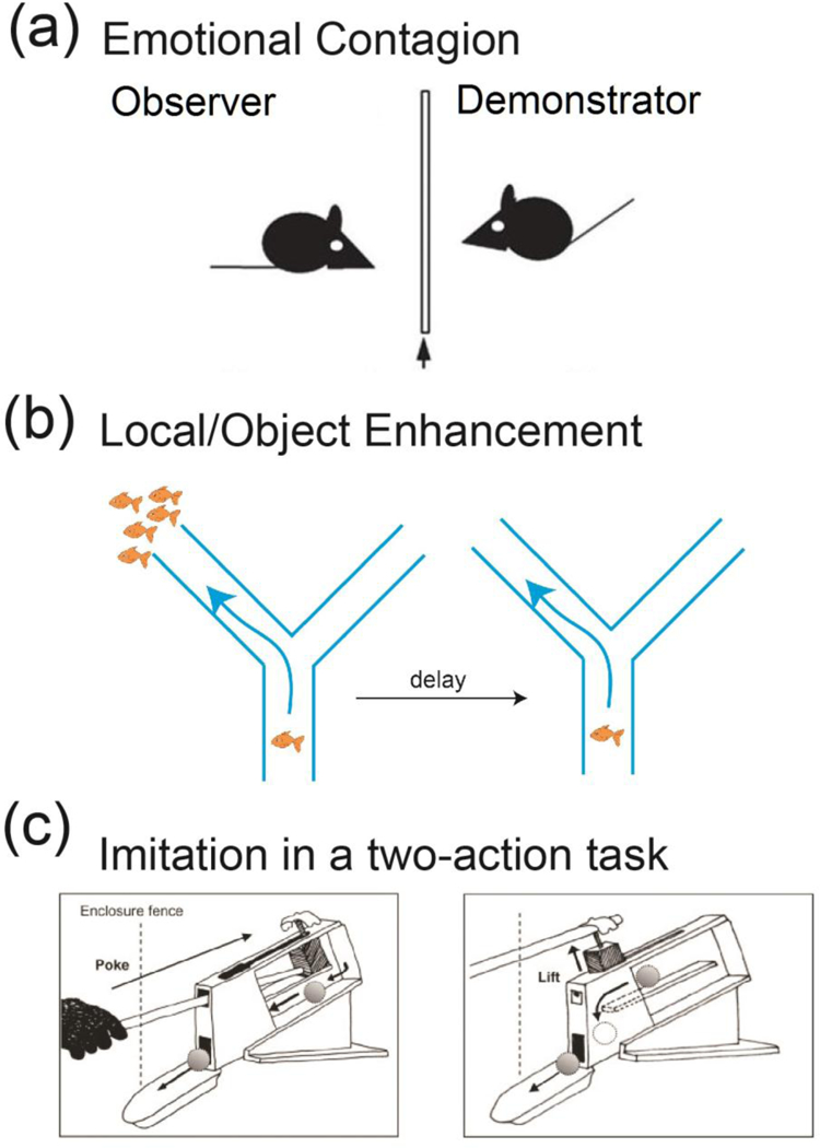 Figure 1: