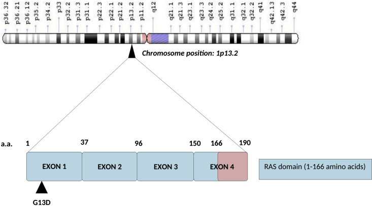 Fig. 2