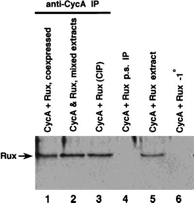 FIG. 4