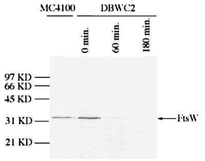 FIG. 10