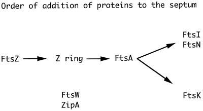 FIG. 7