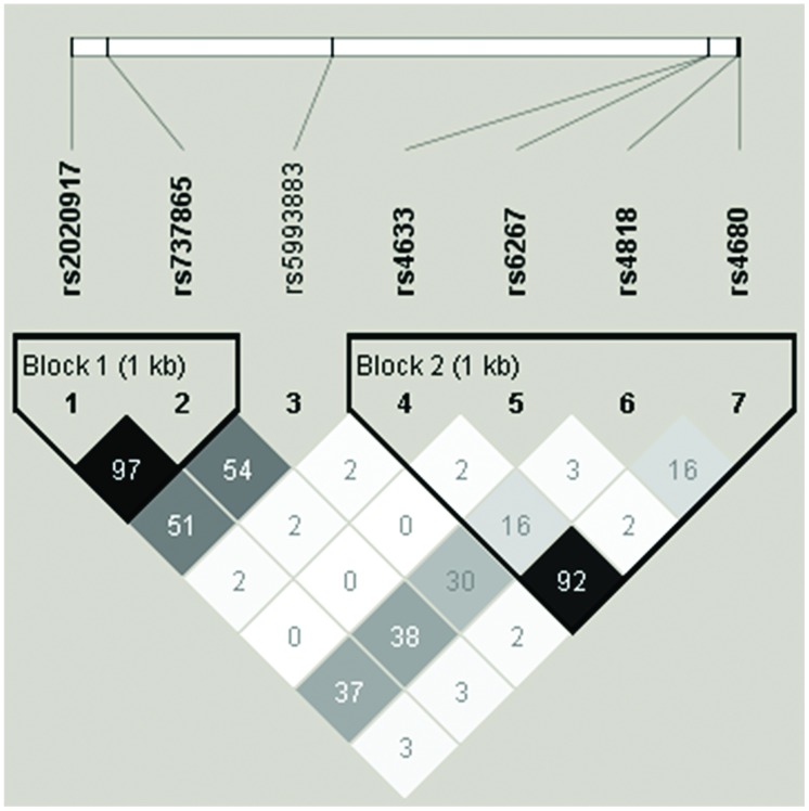 FIGURE 1