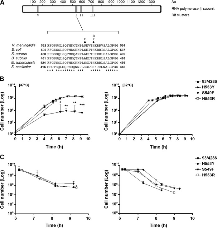 FIG 1