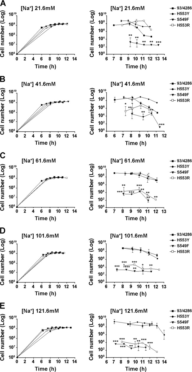 FIG 2