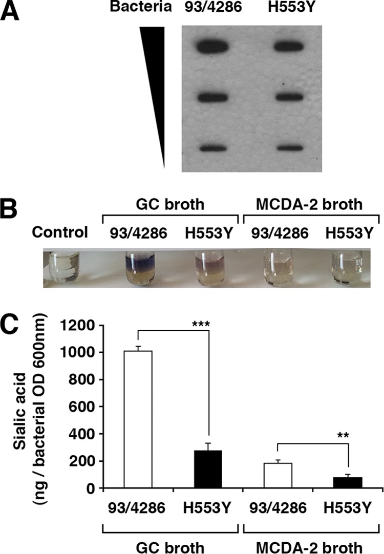 FIG 4