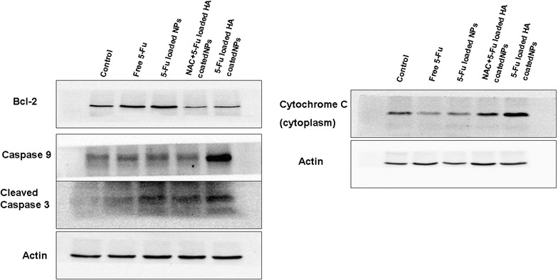 Fig. 7