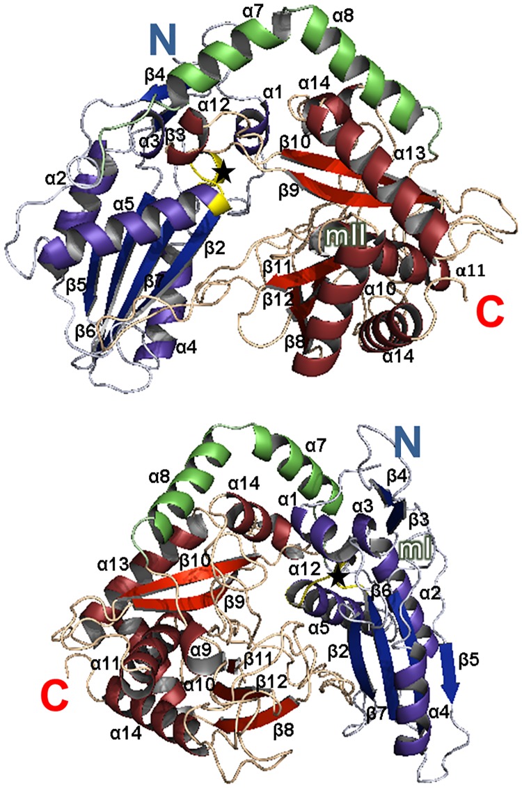 Fig 1