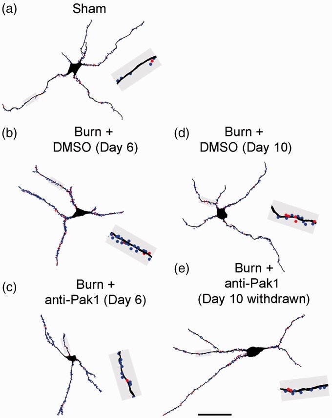 Figure 7.