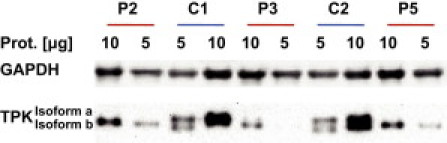 Figure 6