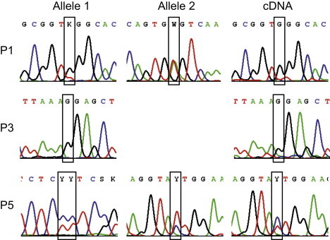 Figure 4