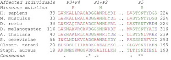 Figure 5