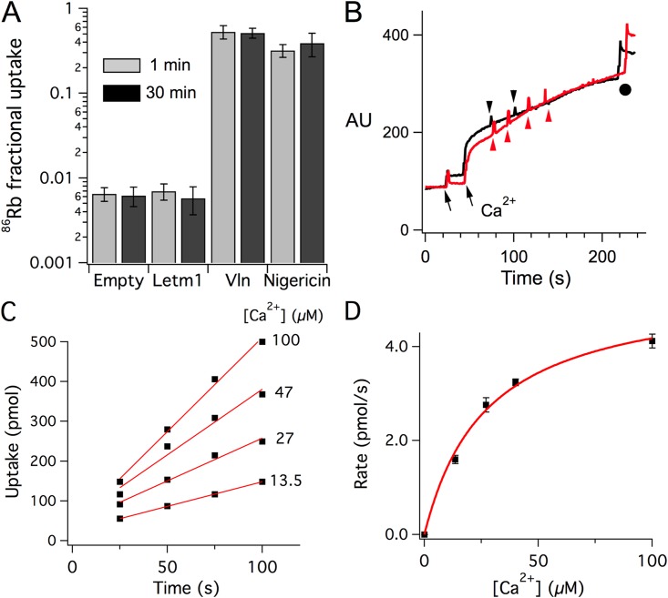 Figure 2.