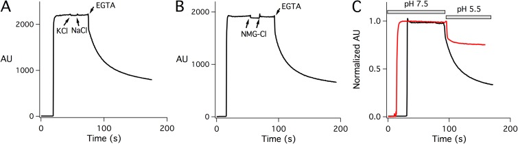 Figure 5.