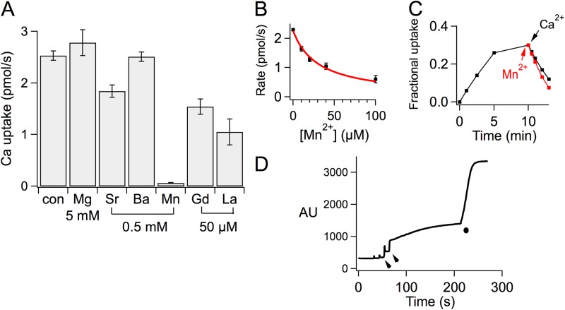 Figure 3.