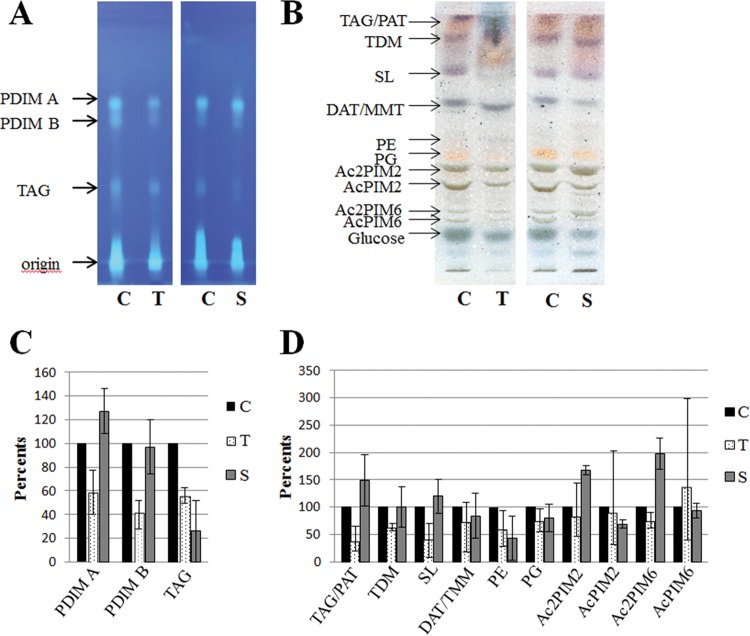 FIG 3