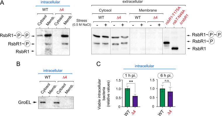 FIG 6