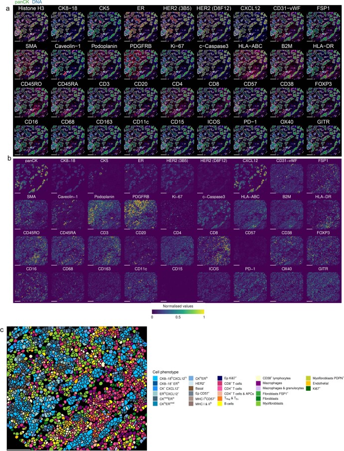 Extended Data Fig. 1