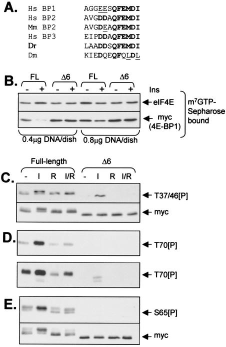 FIG. 5.