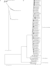 FIG. 1.