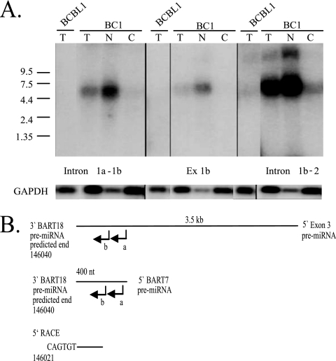 FIG. 7.